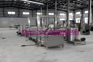 諸城市大洋食品機械推出全新高效油炸生產(chǎn)線，引領(lǐng)食品加工設(shè)備性能新標(biāo)桿